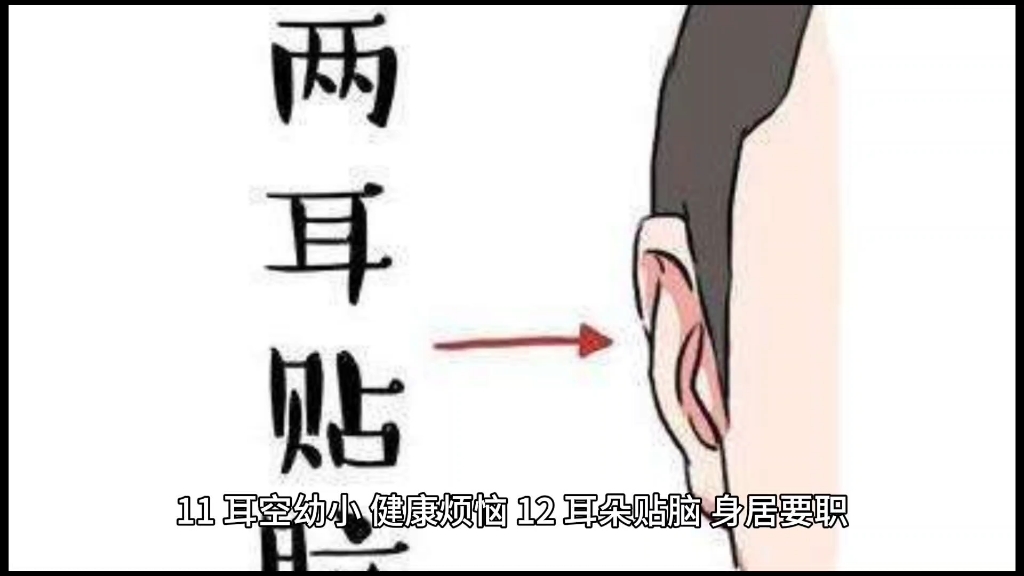 五行耳相常识,大家对照一下自己吧#面相哔哩哔哩bilibili