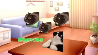 Download Video: 【里芭蕾篇】爱豆互扇耳光名场面猫meme