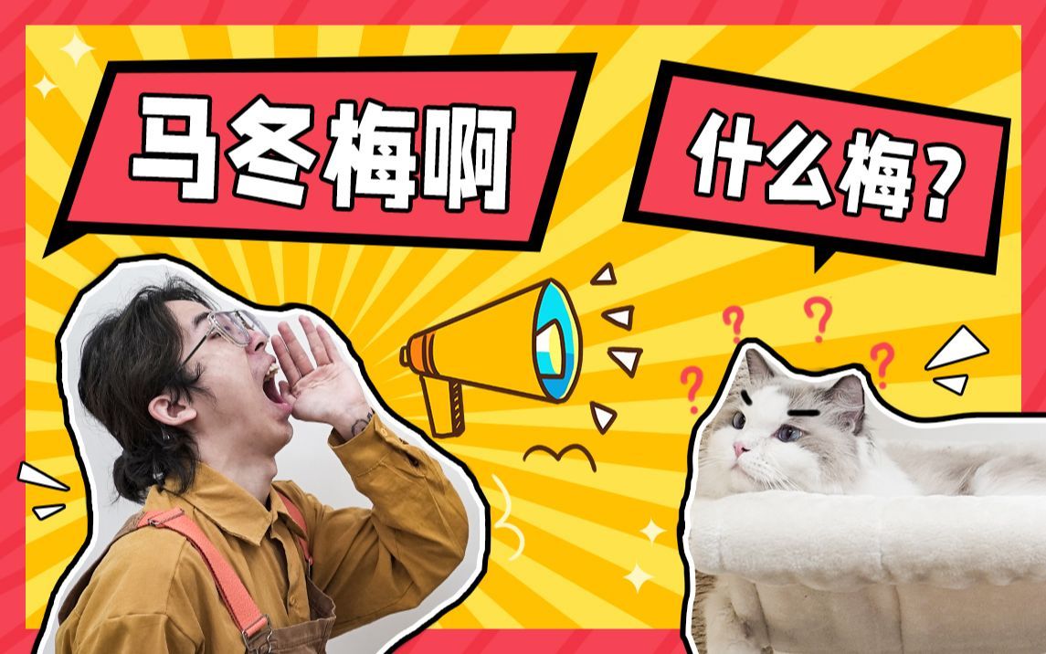 猫咪听力测试:看看你家是“猫不理?”还是真耳聋?哔哩哔哩bilibili