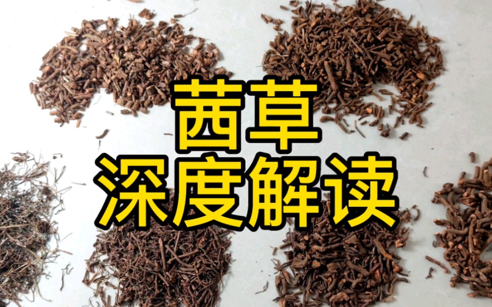 茜草 深度解读系列:一个在网上95%以上都是假的药材,教会大家如何来辨别他.哔哩哔哩bilibili