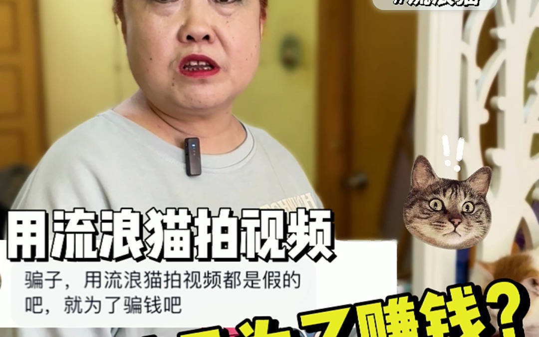 拍流浪猫是为了挣钱吗?哔哩哔哩bilibili