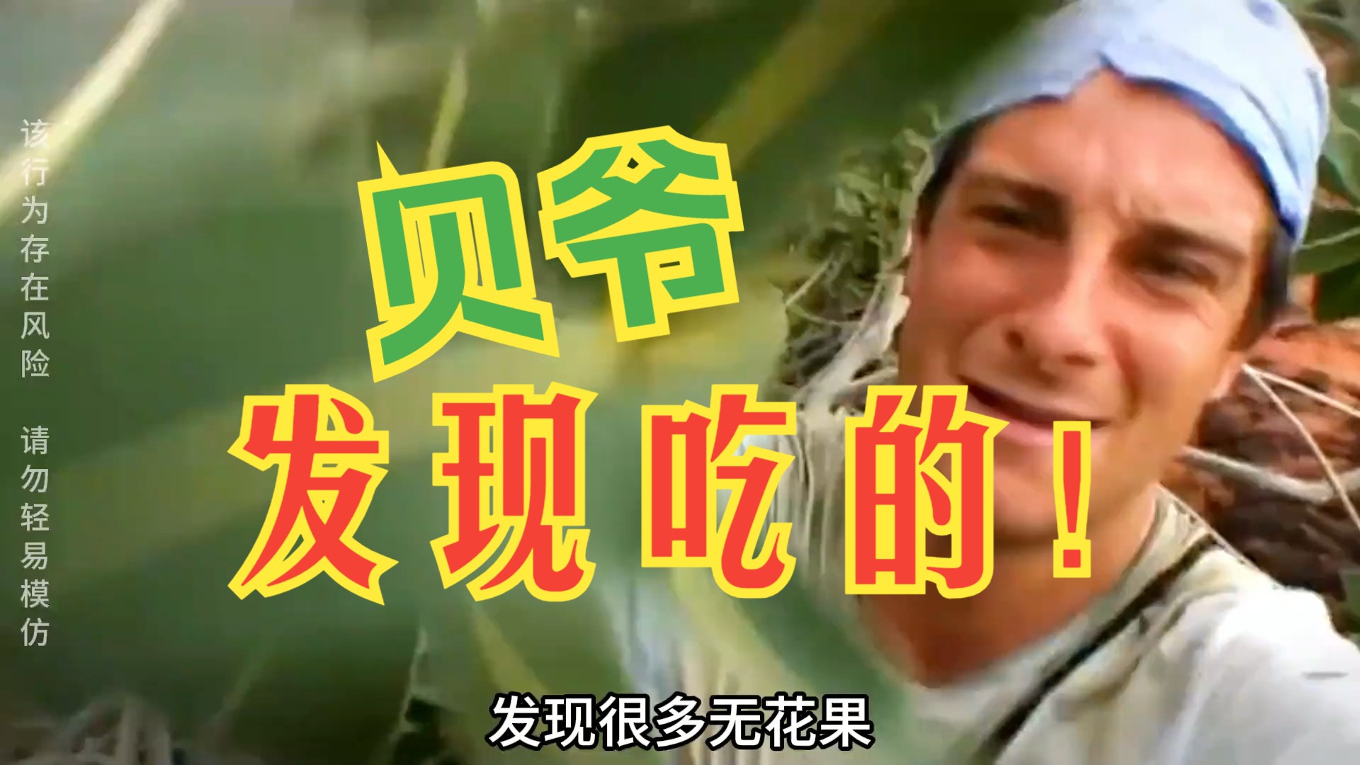 贝爷荒野求生 贝爷澳大利亚西部求生,吃上美味辣条,奶香味蜘蛛,富含