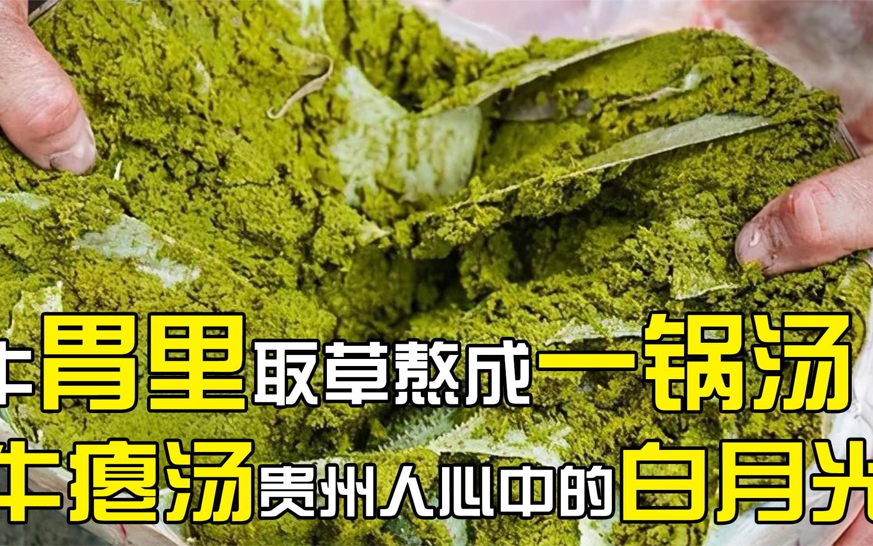 牛胃里取草熬成一锅汤,牛瘪汤是贵州人心中白月光,为何会受欢迎