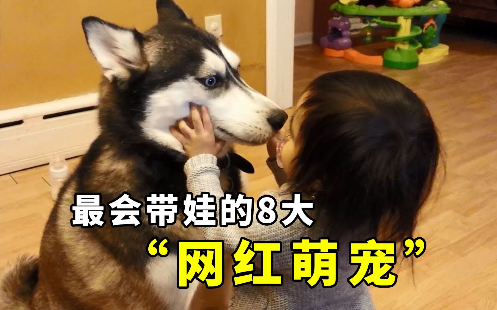 盘点全网最会带娃的8大网红萌宠,来看看你关注了哪几