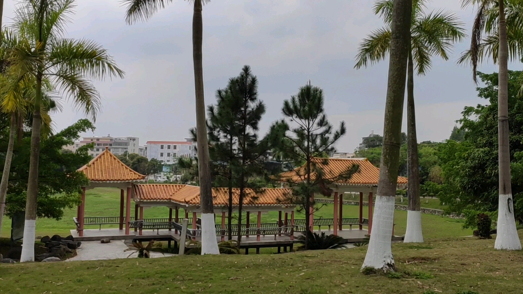 城西公园(玉林市北流篇)第一集_哔哩哔哩 (゜-゜)つロ 干杯~-bilibili