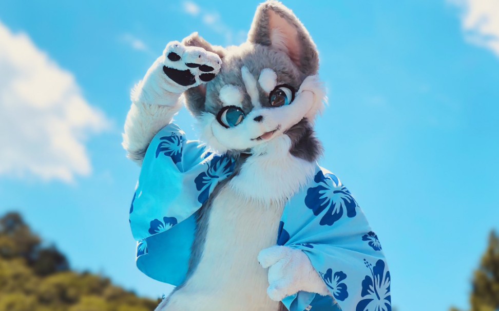 【兽装fursuit制作参考】一些收集的干货,希望能帮到大家( 1966