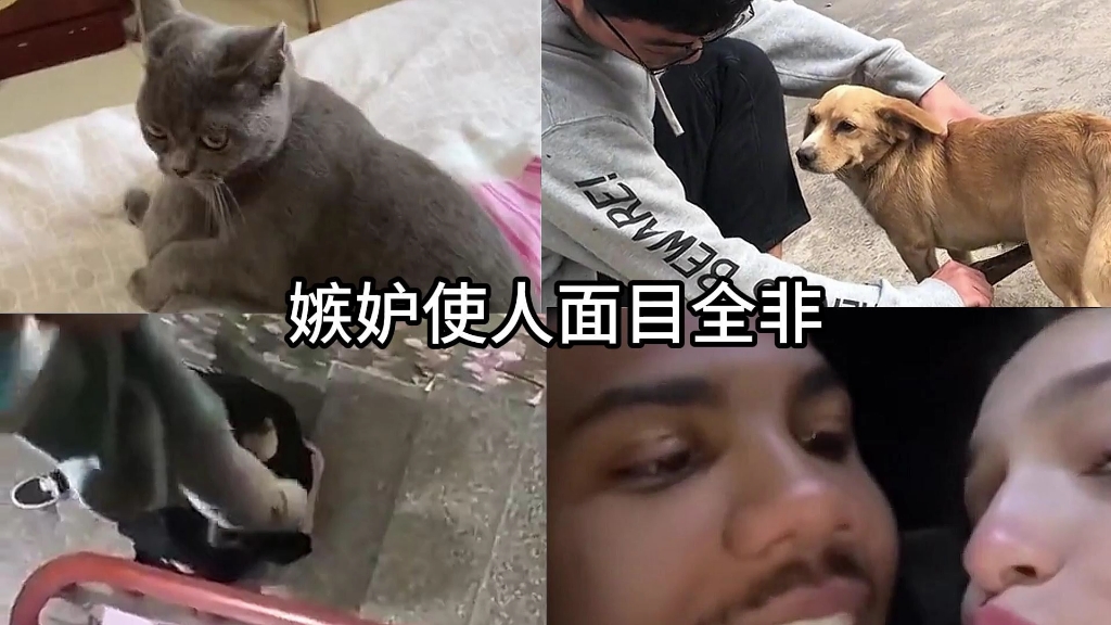 嫉妒使人面目全非