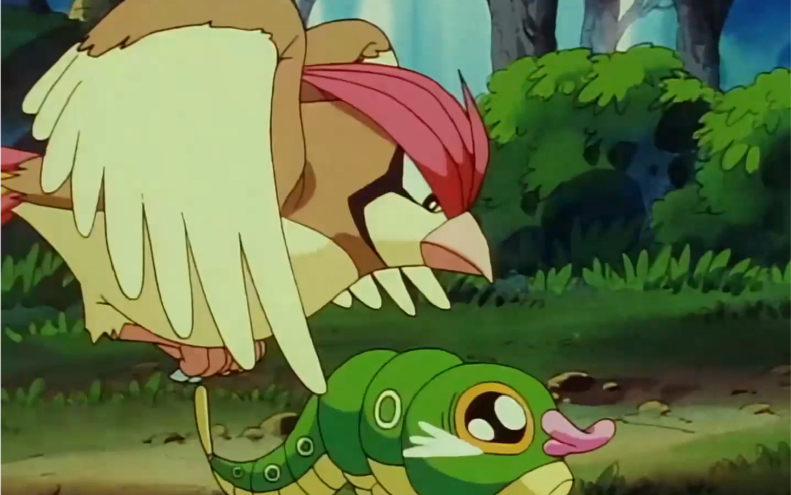 小智成功用绿毛虫打赢比比鸟?高清粤语精灵宝可梦