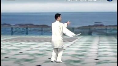 冯志强大师讲解陈氏心意混元太极拳24式_哔哩哔哩_bilibili