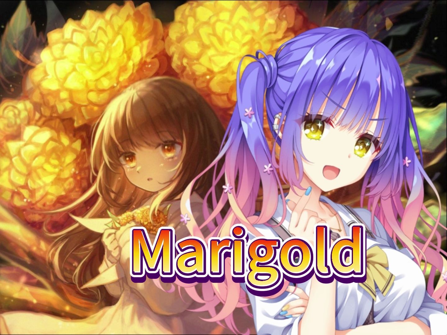 【ai小云雀来海】marigold