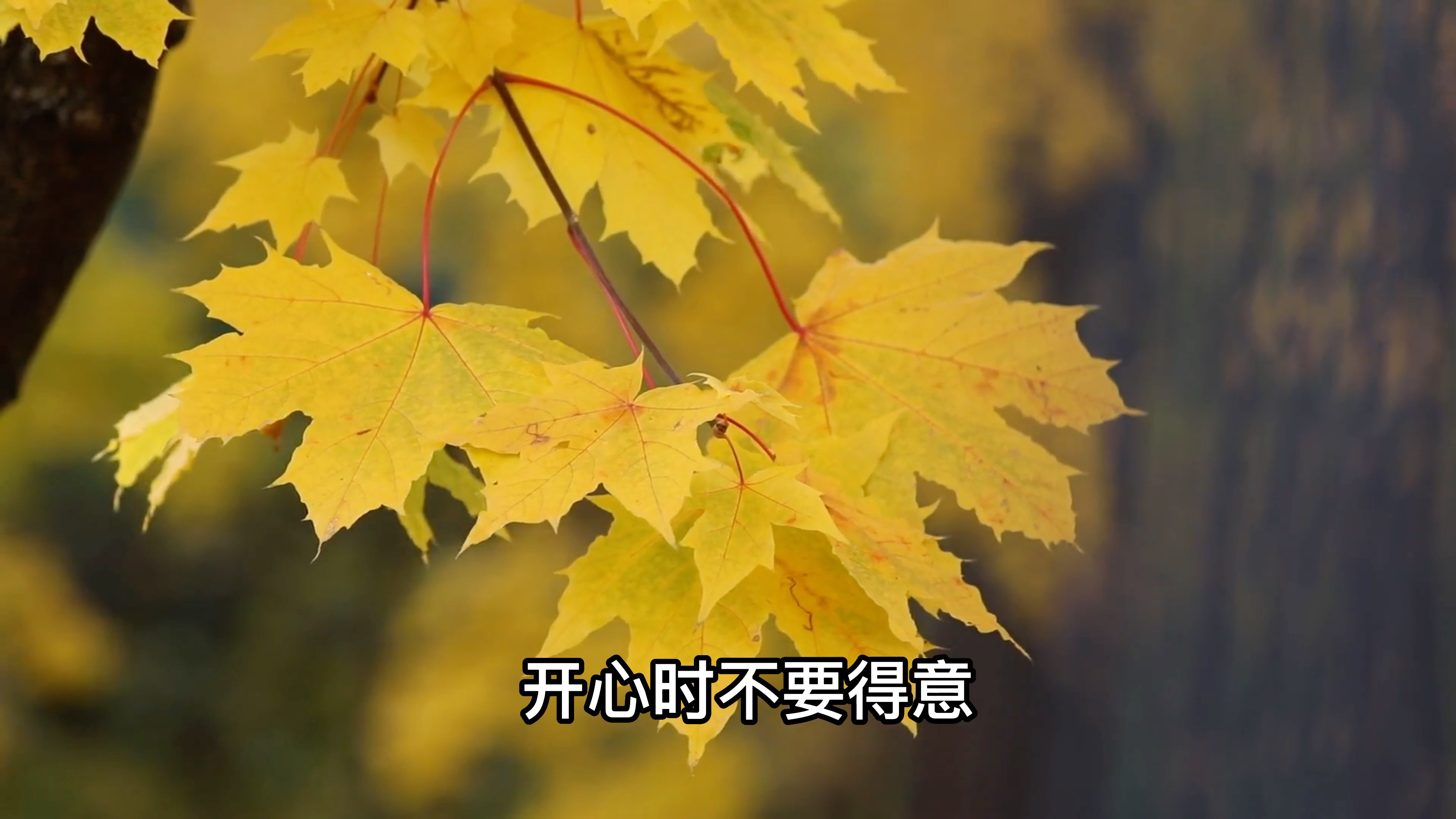 对未来充满希望