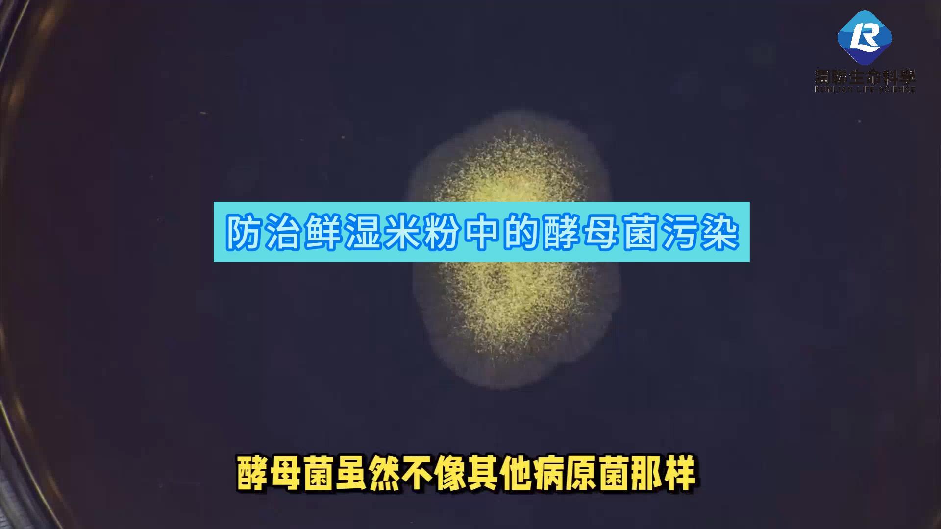防治鲜湿米粉中的酵母菌污染