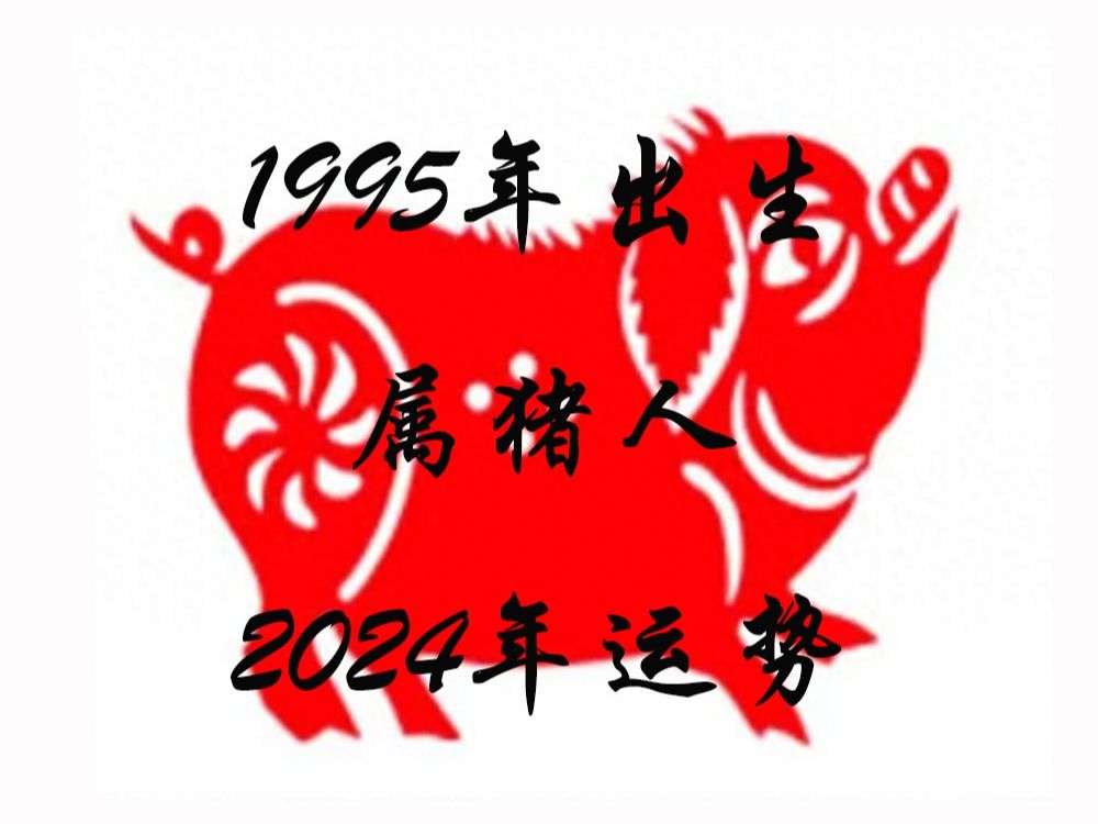 1995年出生的属猪人2024年运势哔哩哔哩bilibili