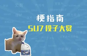 Download Video: S U 7 段 子 大 赏【梗指南】