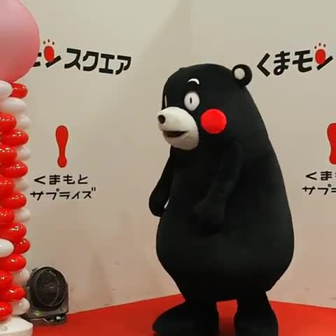 【kumamon熊本熊】部长回眸一笑百媚生,哈哈哈哈哔哩哔哩bilibili