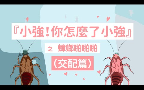 蟑螂也要啪啪啪 ? 小强浪漫交配篇【旺财在尖叫】哔哩哔哩bilibili