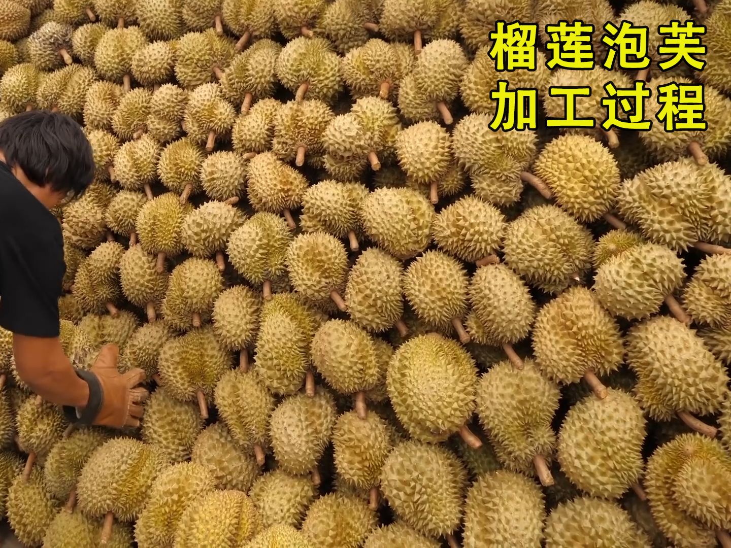 揭秘榴莲加工厂,用这种方法制作出,美味的榴莲泡芙哔哩哔哩bilibili