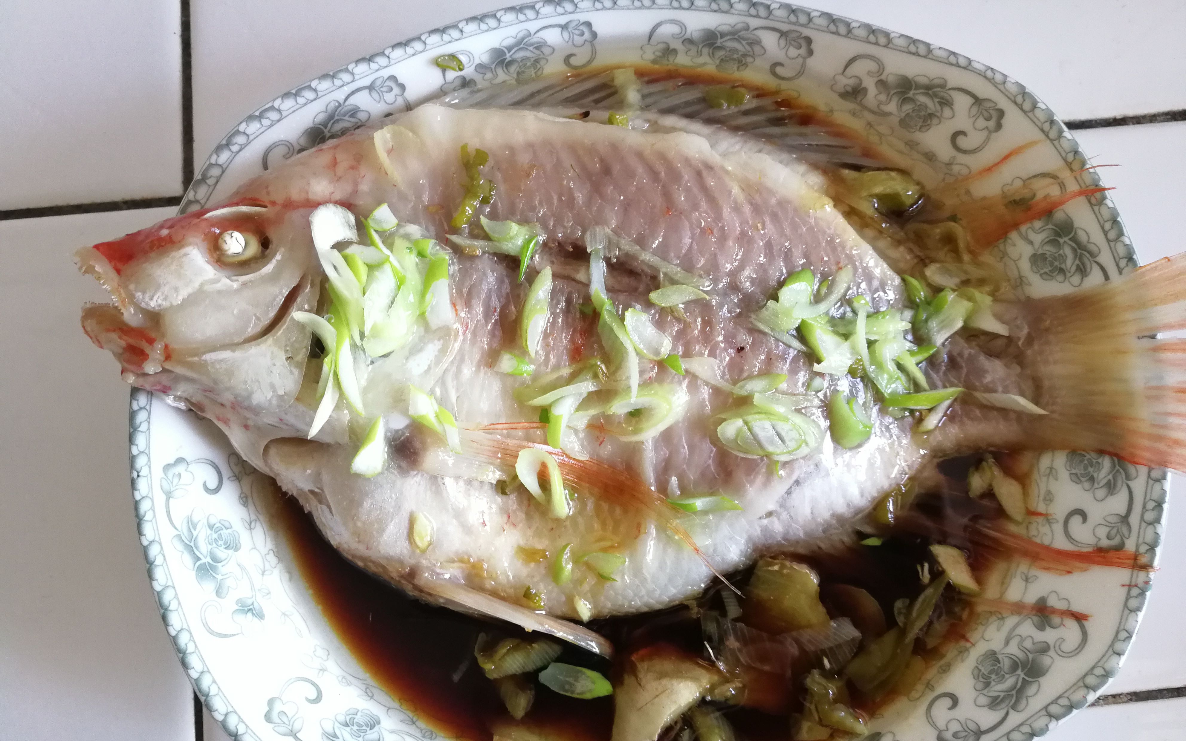 活动  鲷 鱼 or 星 洲 红 鱼?清蒸红雕鱼