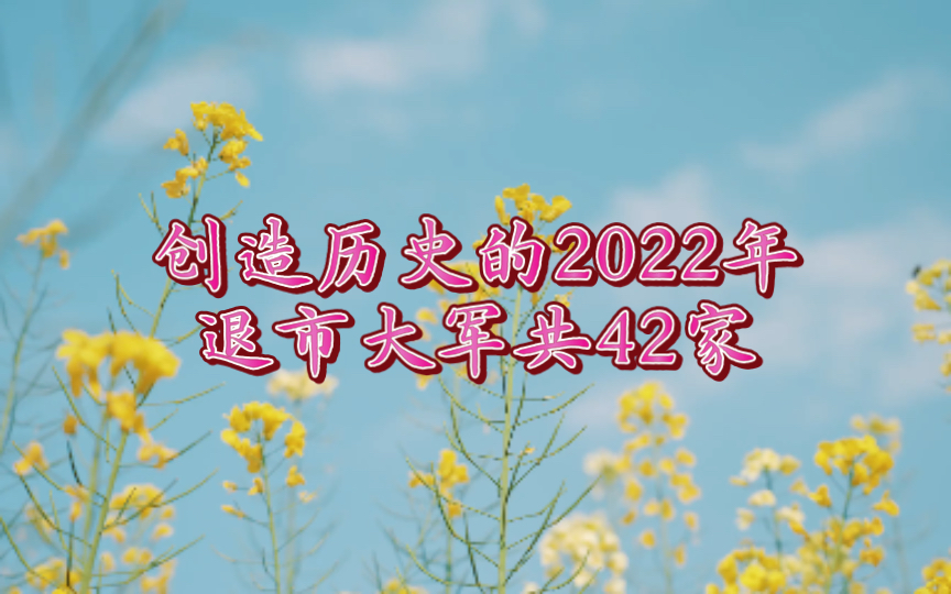 创造历史的2022年退市大军,共42家哔哩哔哩bilibili