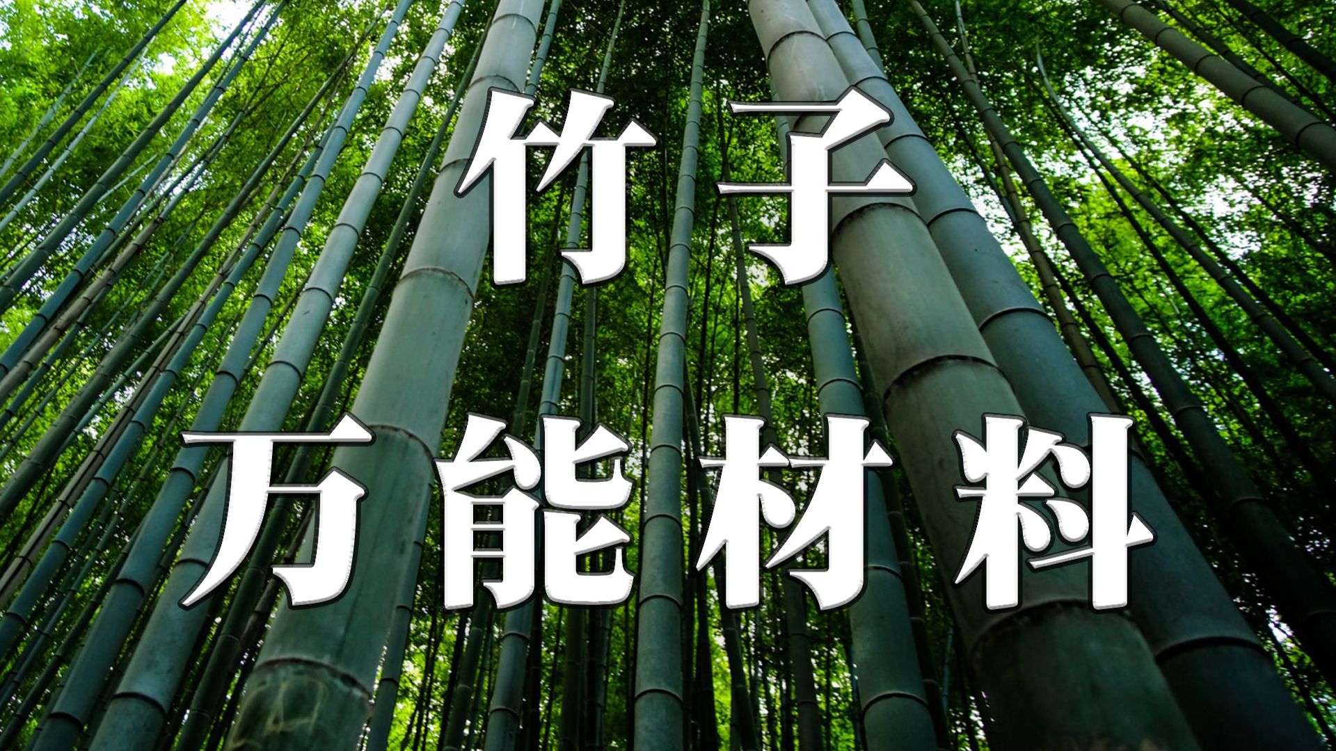 【禾本科二】120年繁殖一次 一天长高150cm 从铝合金到塑料碳纤维 一个物种全代替!哔哩哔哩bilibili