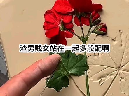 诺梦失明哔哩哔哩bilibili