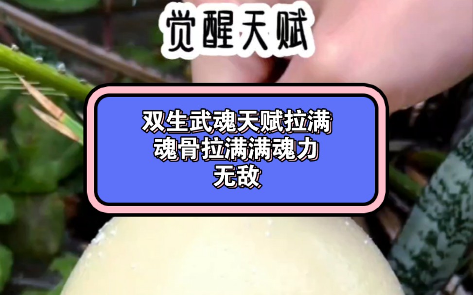 [图]穿越斗罗被剑斗罗收养，还成了宁蓉蓉小叔，不仅拥有双生武魂，还觉醒了开枝散叶系统，开之一次便可连升5级，我只需略微出手便是同辈中的极限，别人穿越都是开局无敌天赋。