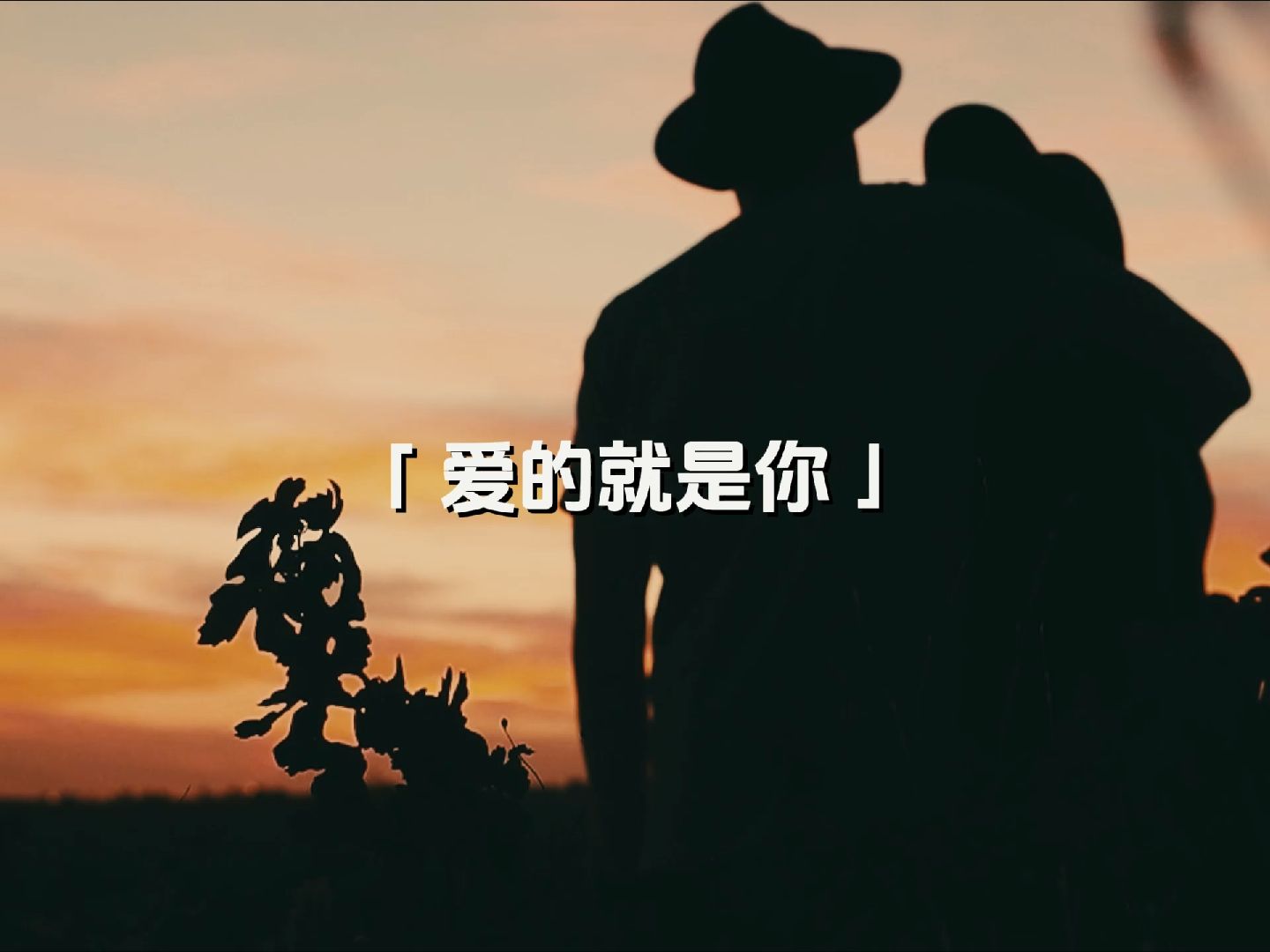 愛的就是你 #翻唱#王力宏 #歌曲推薦 #愛的就是你