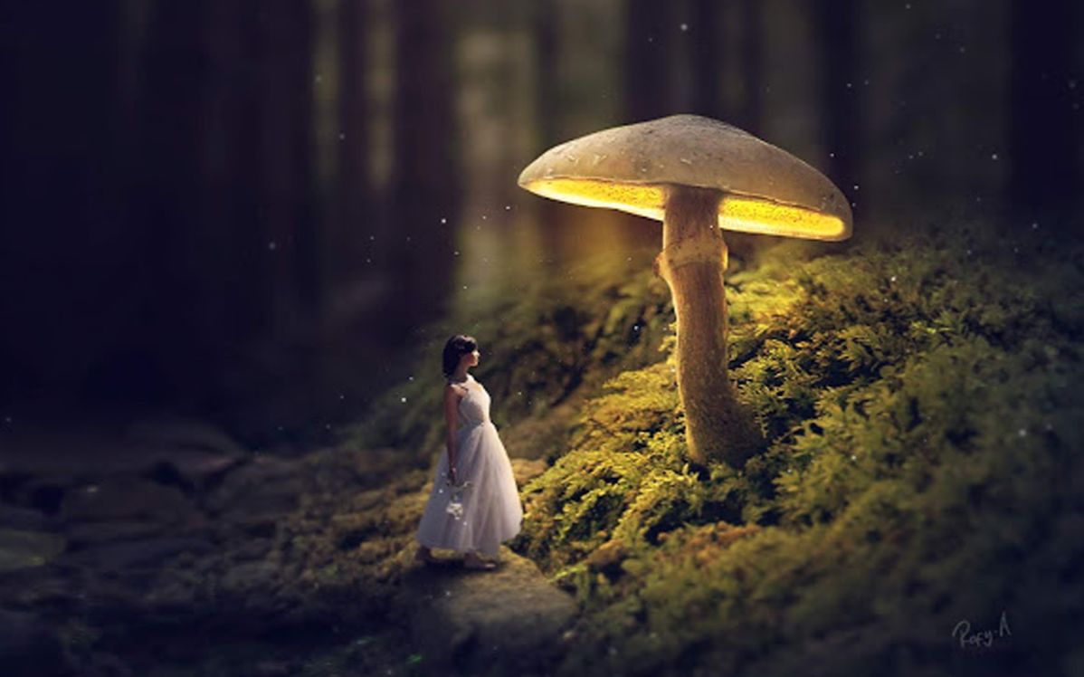 国外大神ps海报合成发光蘑菇- ps后期特效照片图像合成调色教程