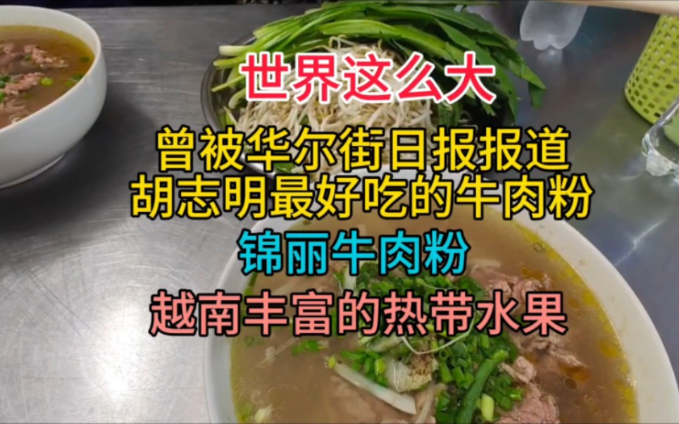 曾被华尔街日报报道胡志明最好吃的牛肉粉,锦丽牛肉粉,热带水果哔哩哔哩bilibili