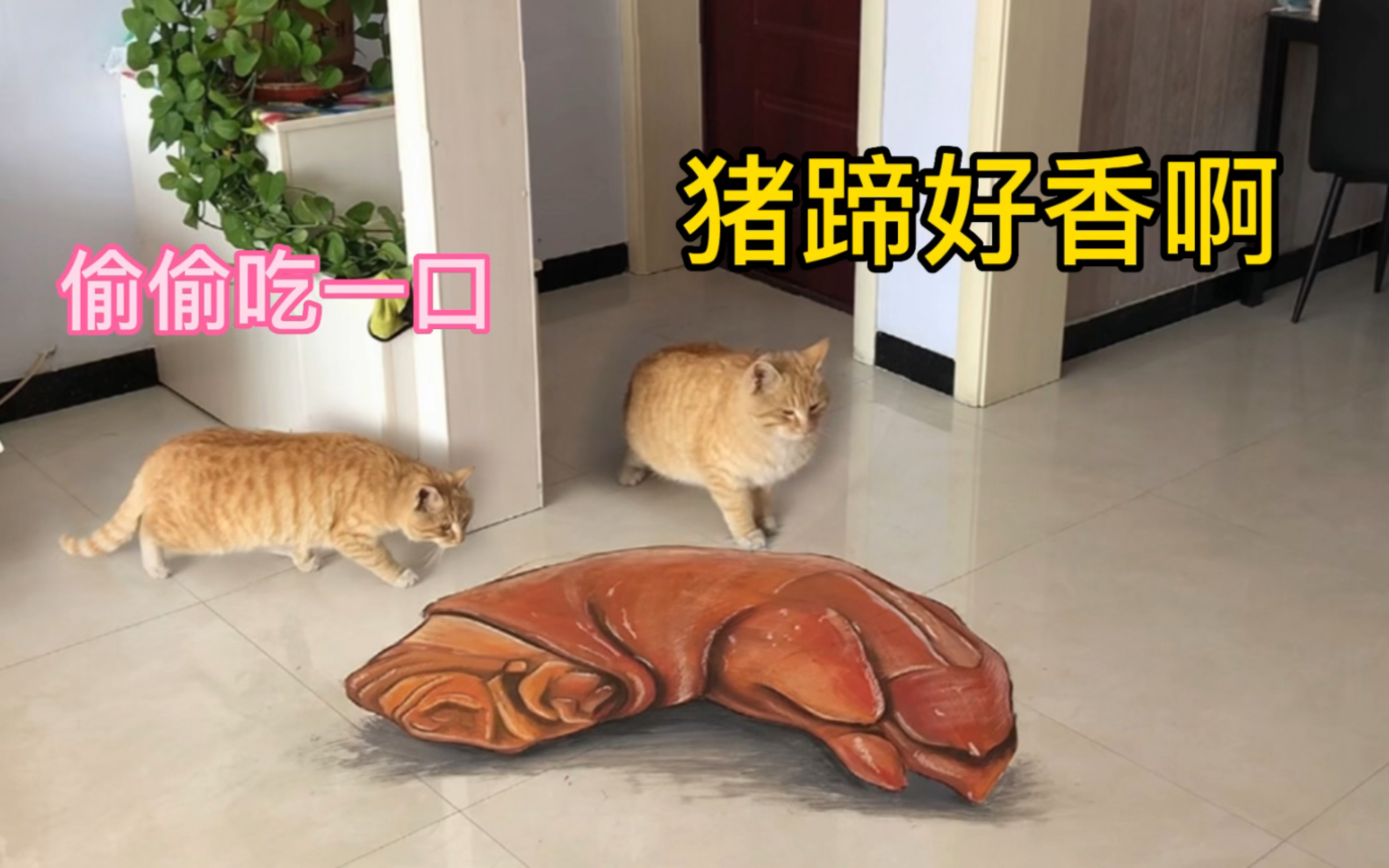 画一个猪蹄子,猫看到馋哭了,直呼我还要哔哩哔哩bilibili