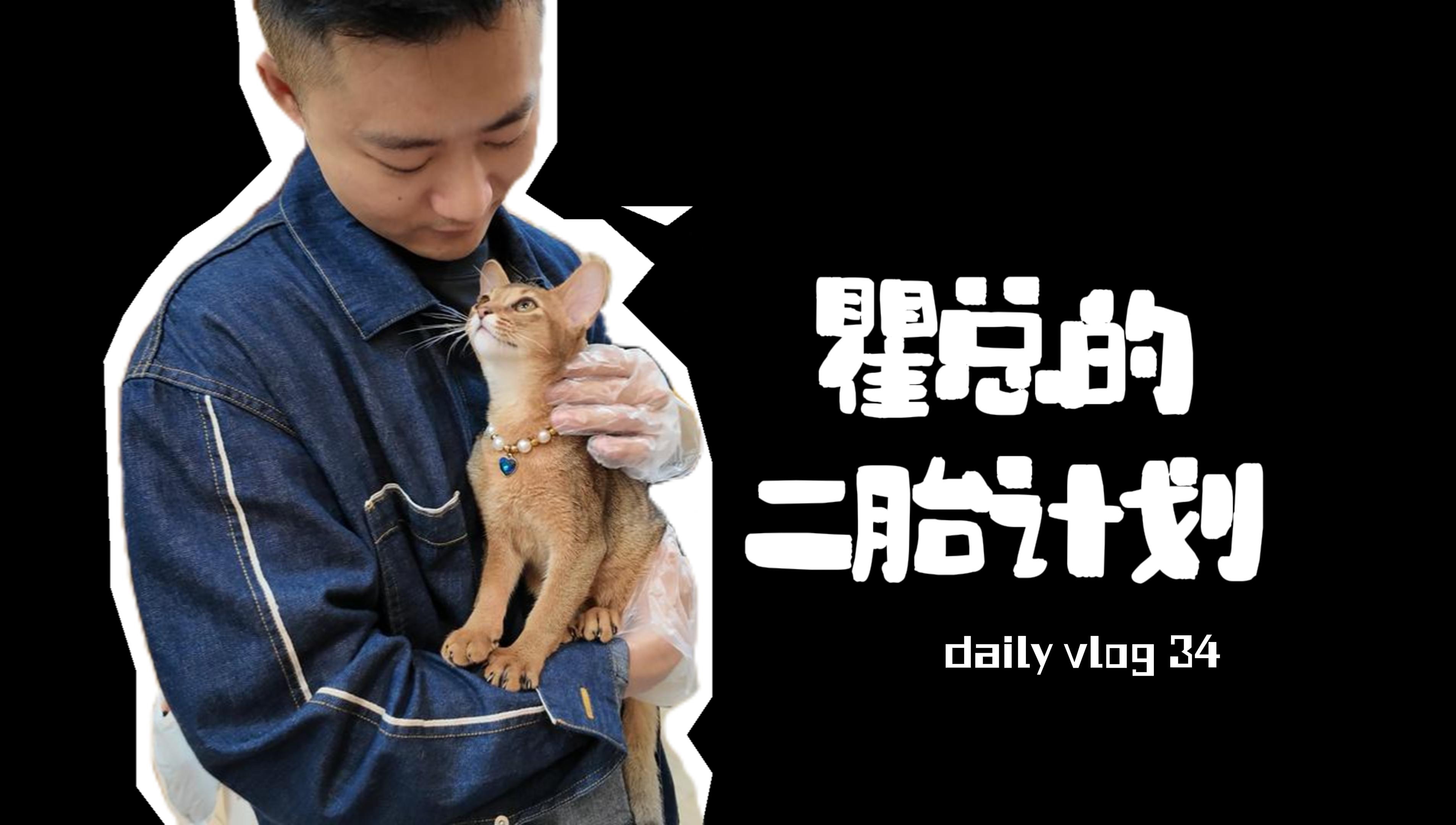 vlog | 瞿总的二胎计划 | 打扑爬失宠纪实 | 熊婆婆的花园