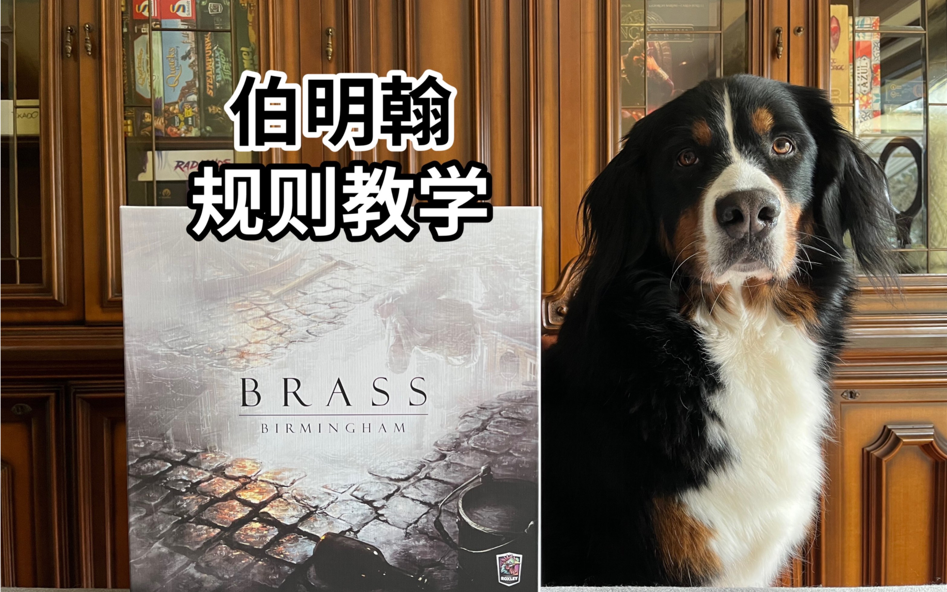 【规则教学】Brass《工业革命:伯明翰》世界第一德式桌游,德式の姐妹吐血推荐!