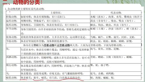 尝试对生物进行分类重难点二 动物分类根据有无脊椎可以分成两大类 初中生物 动物分类 脊椎动物 哔哩哔哩