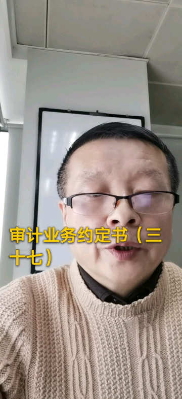 审计业务约定书(三十七)哔哩哔哩bilibili