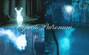 Download Video: 【HP】Expecto Patronum（呼神护卫）——守护神咒