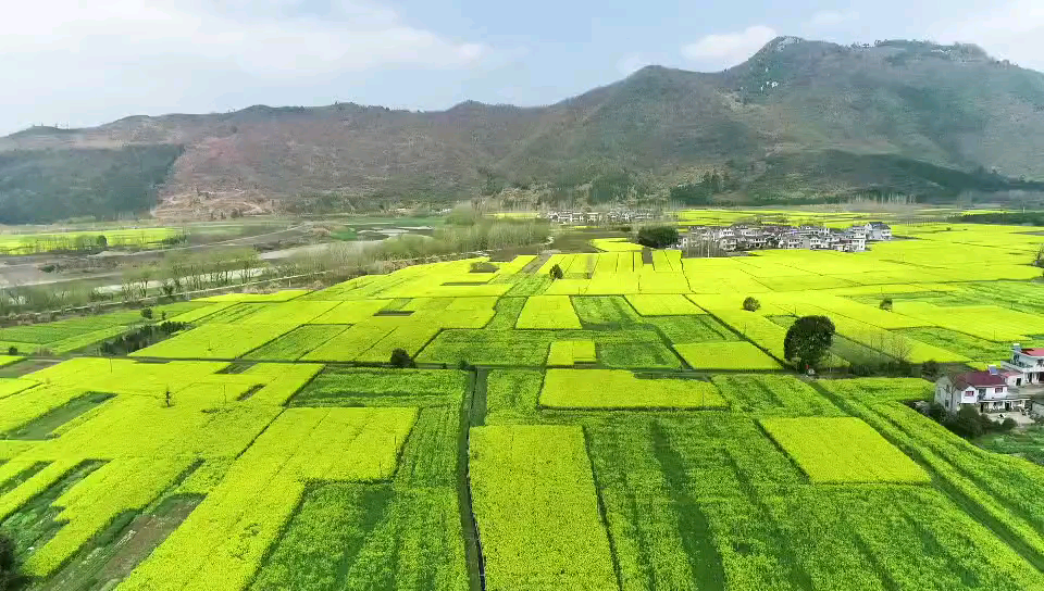 [图]“诗旅秋浦 花赏旧溪” 池州·殷汇第二届