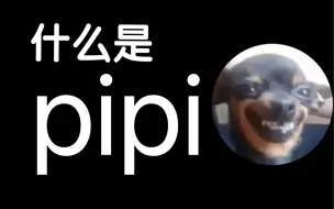 Download Video: 什么是pipi？他说...