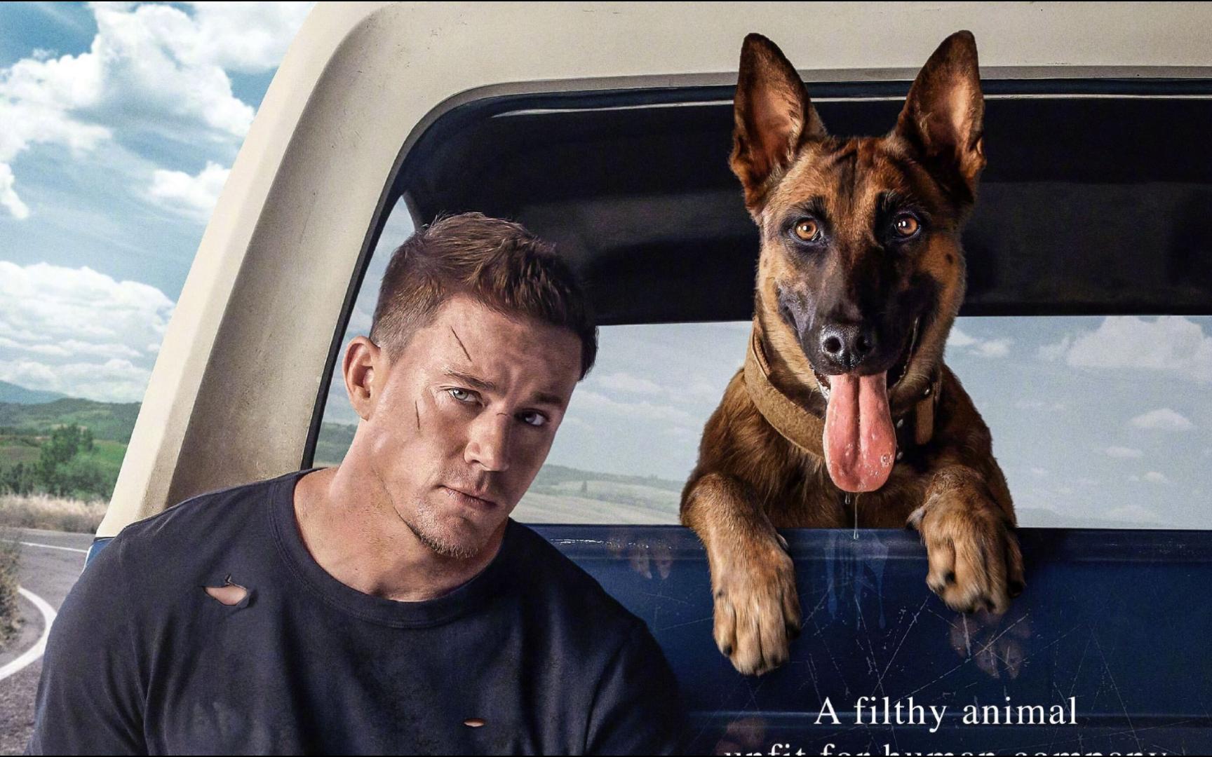 忠犬:一个男人和一只军犬的奇妙之旅