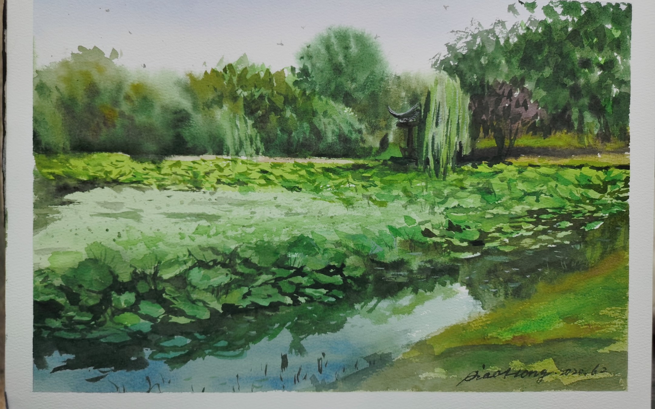 水彩画写生《合肥包河公园》