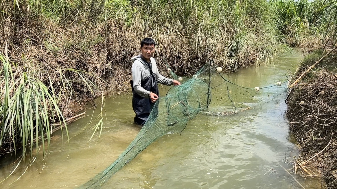 大型水库开闸泄洪,20000斤大鱼跑岀来,小伙用大抄网捕鱼真过瘾!