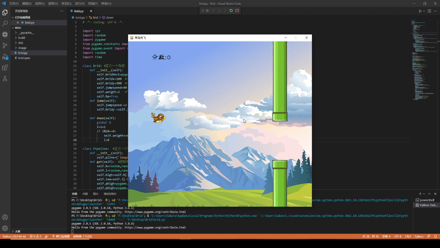 pygame小游戏~笨鸟先飞哔哩哔哩bilibili