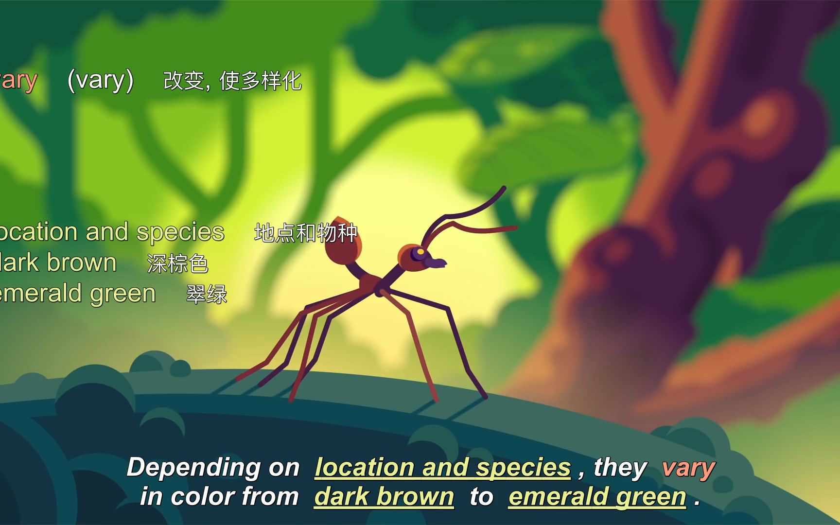 the warrior kingdoms of the weaver ant