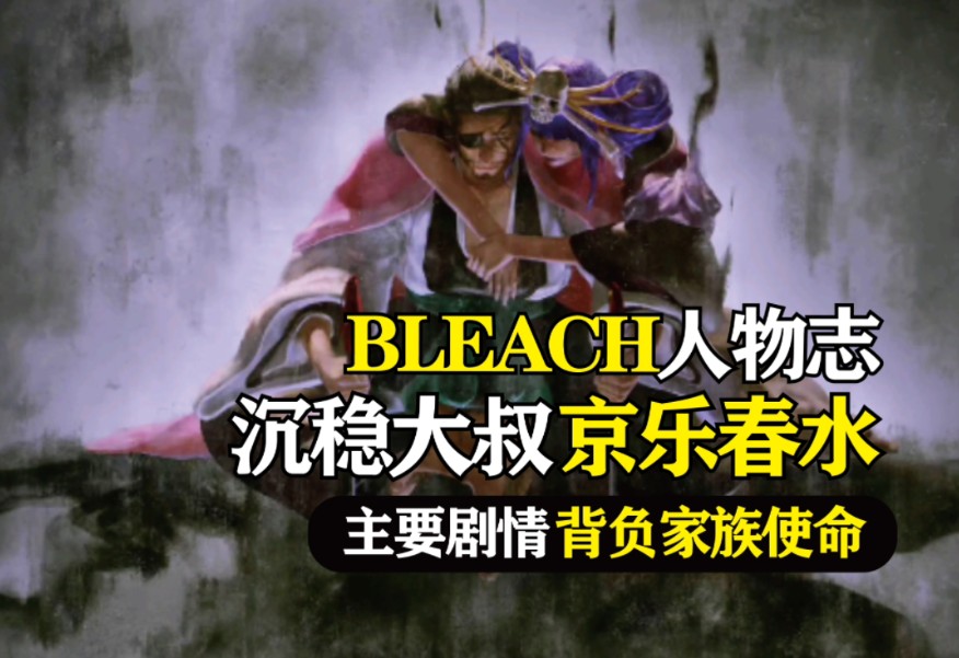 Bleach人物志—京乐春水,浪荡外表下隐藏着的家族之命哔哩哔哩bilibili