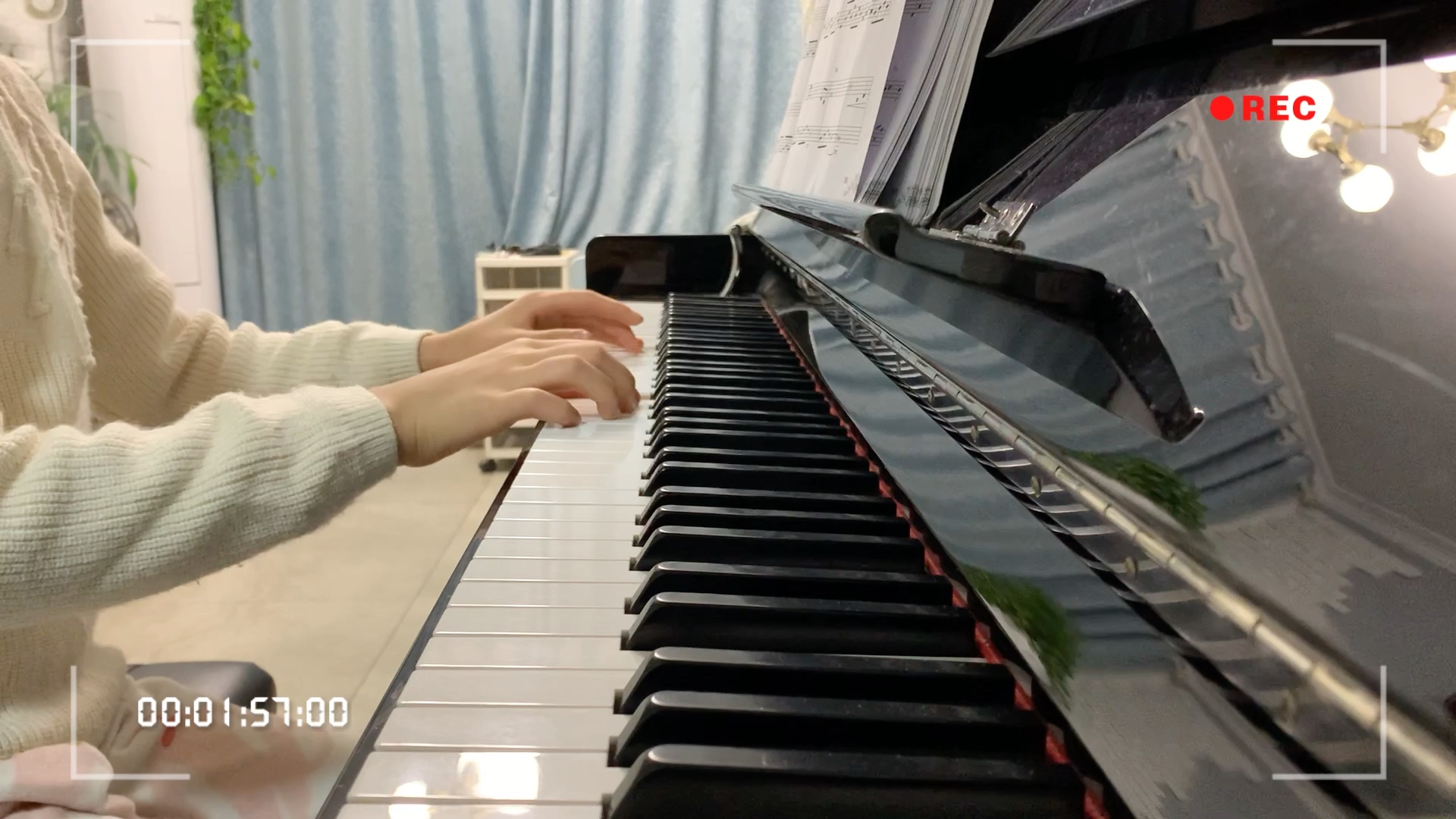 心系兰花钢琴曲