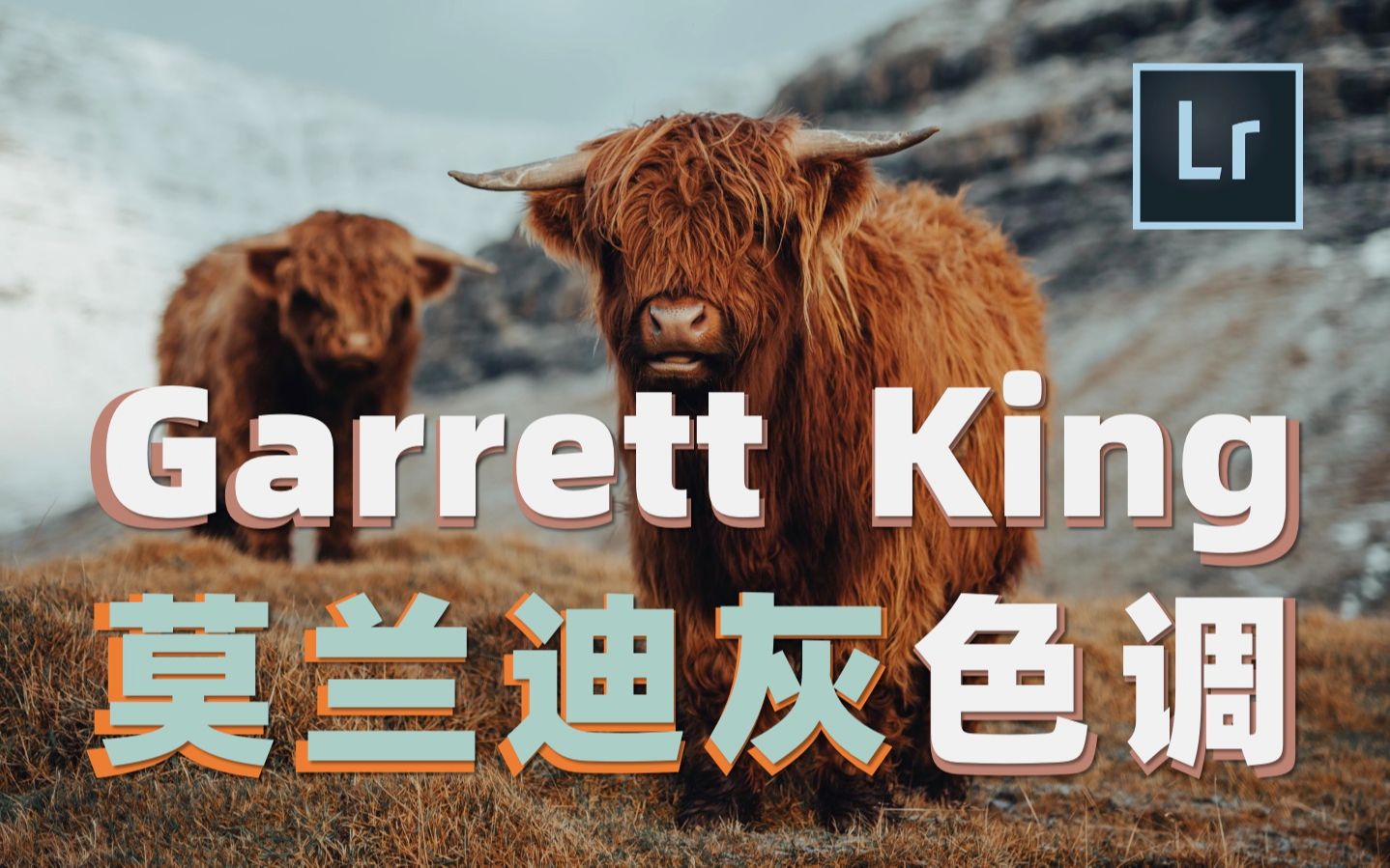 【LR教程】适合人文风景旅拍人像的莫兰迪灰色调,Garrett King告诉你怎么调!哔哩哔哩bilibili