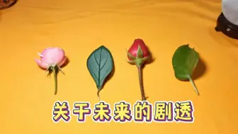 Download Video: 【嘉善】关于未来的一些剧透