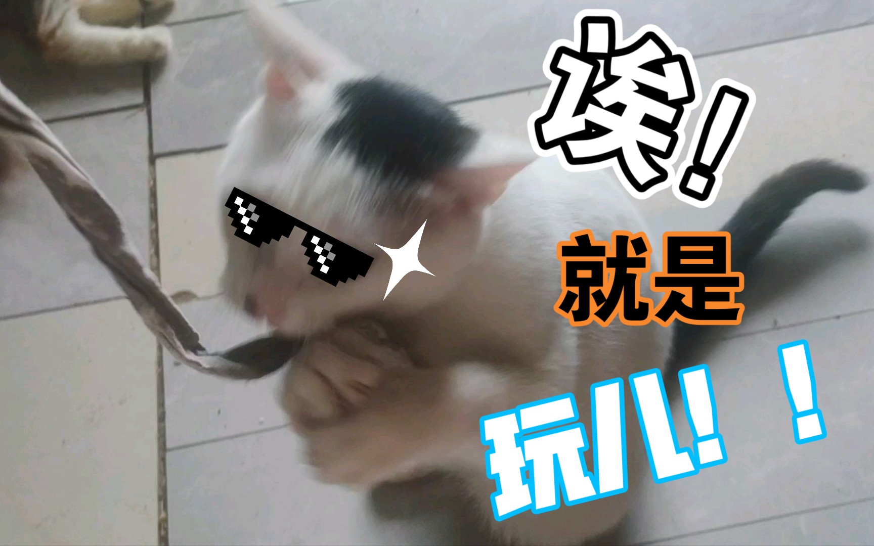 就是玩儿!_哔哩哔哩_bilibili