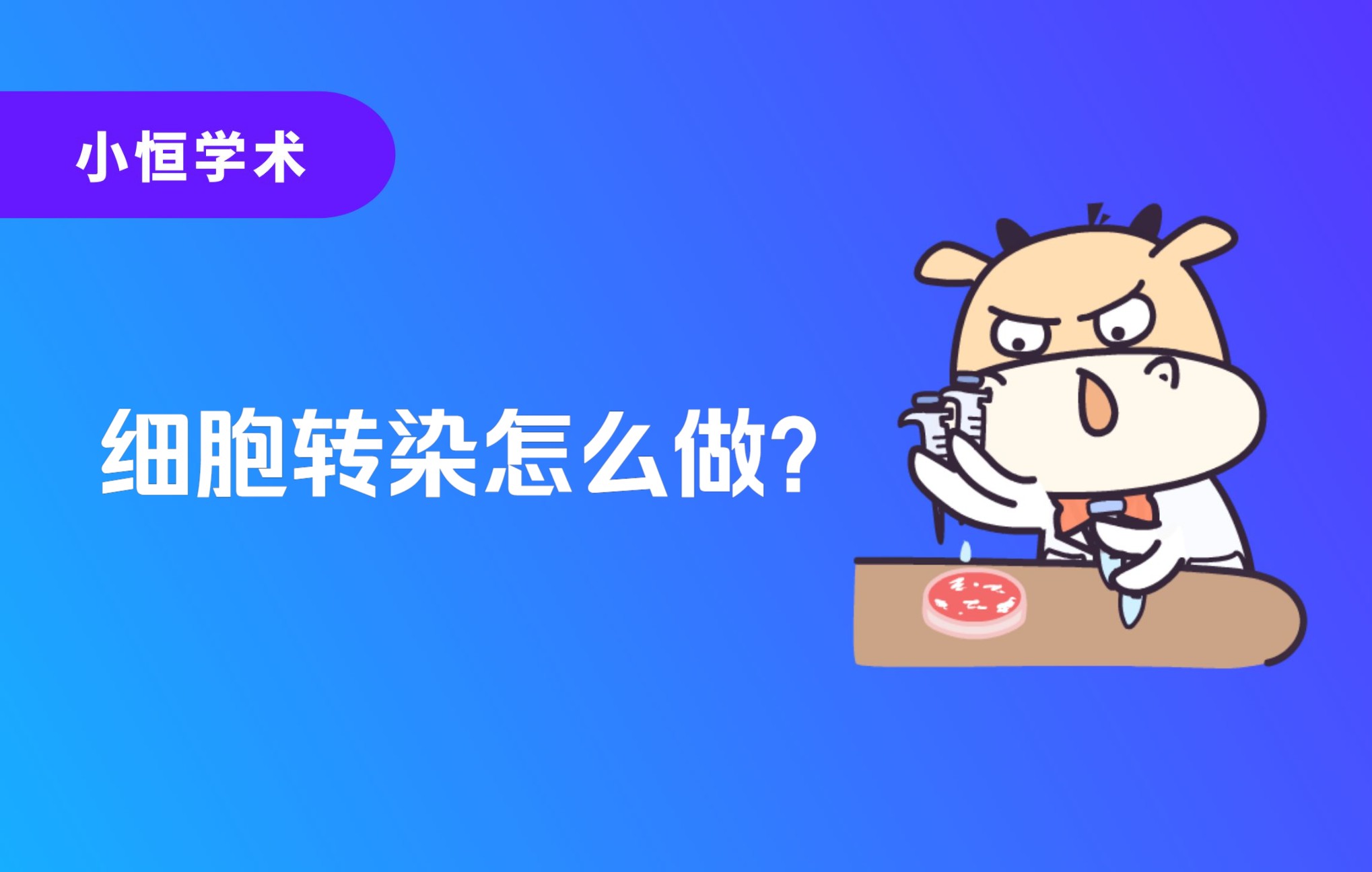 小恒学术细胞转染怎么做?哔哩哔哩bilibili