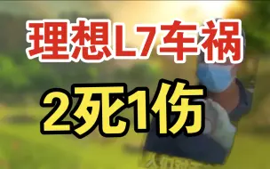 Download Video: 理想L7车祸 2死1伤