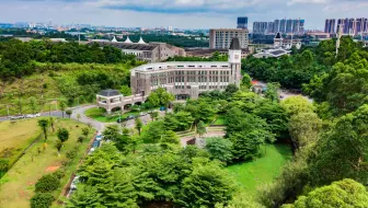 精勤博学，学以致用。广东东软学院欢迎您！